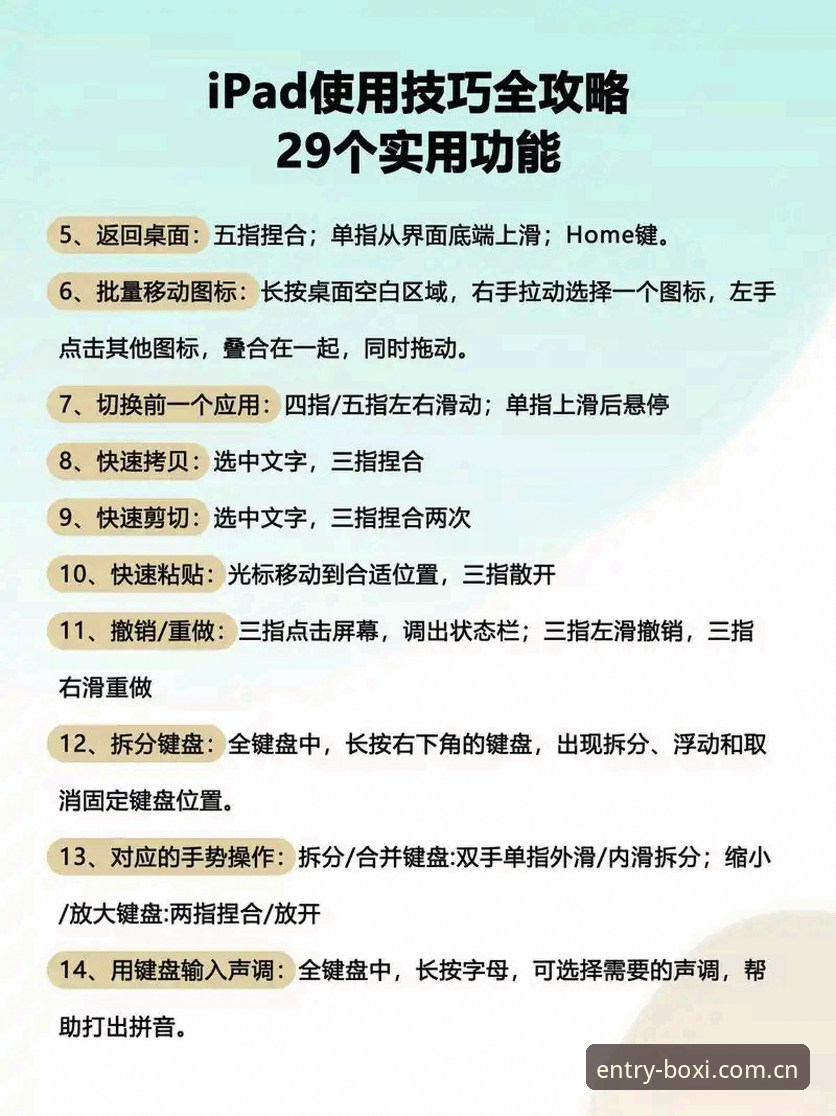 博喜体育APP必备操作教程：从下载到观赛的完整指南